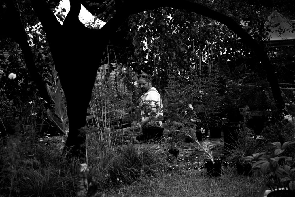 hiring a garden designer working in a graden