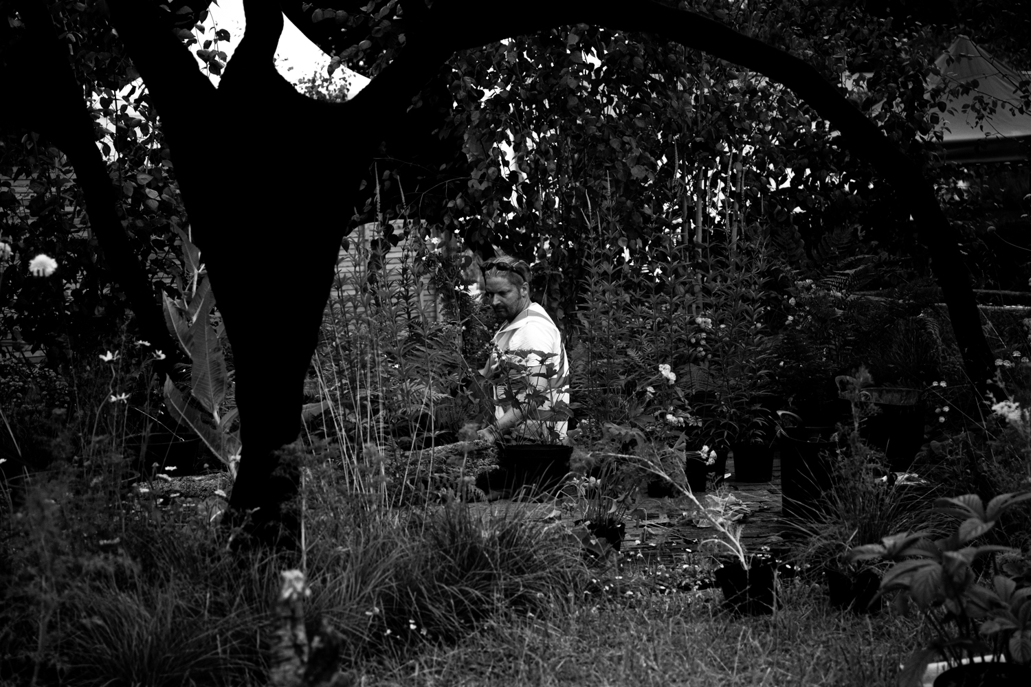 Finding the Perfect Garden Designer Near You: Tips for Transforming Your Outdoor Space